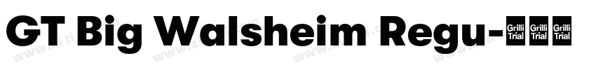 GT Big Walsheim Regu字体转换